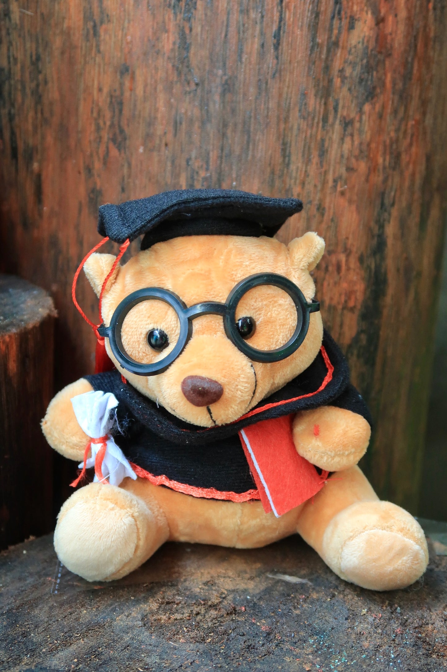 Teddy Bear - Medium
