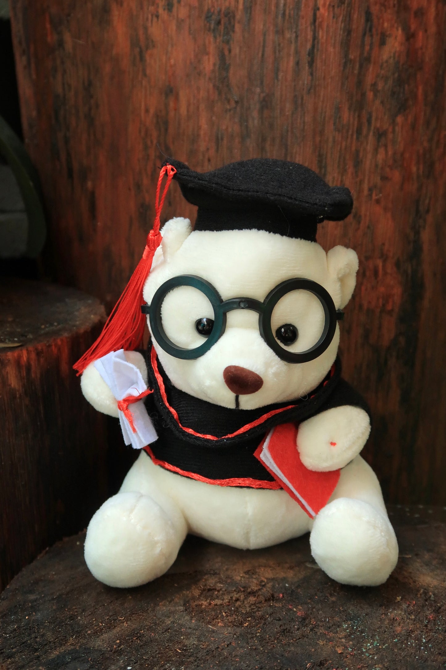 Teddy Bear - Medium