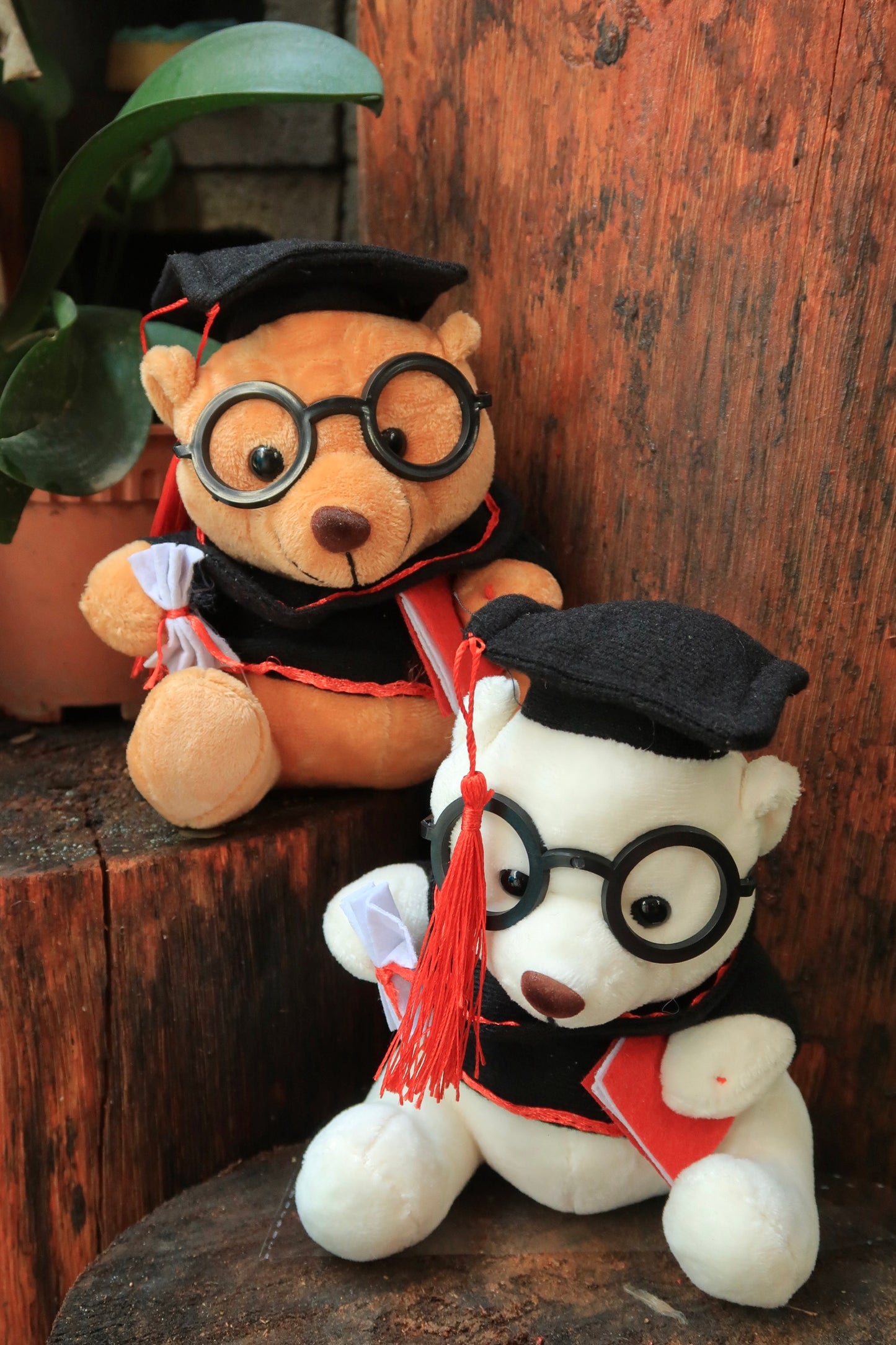 Teddy Bear - Medium