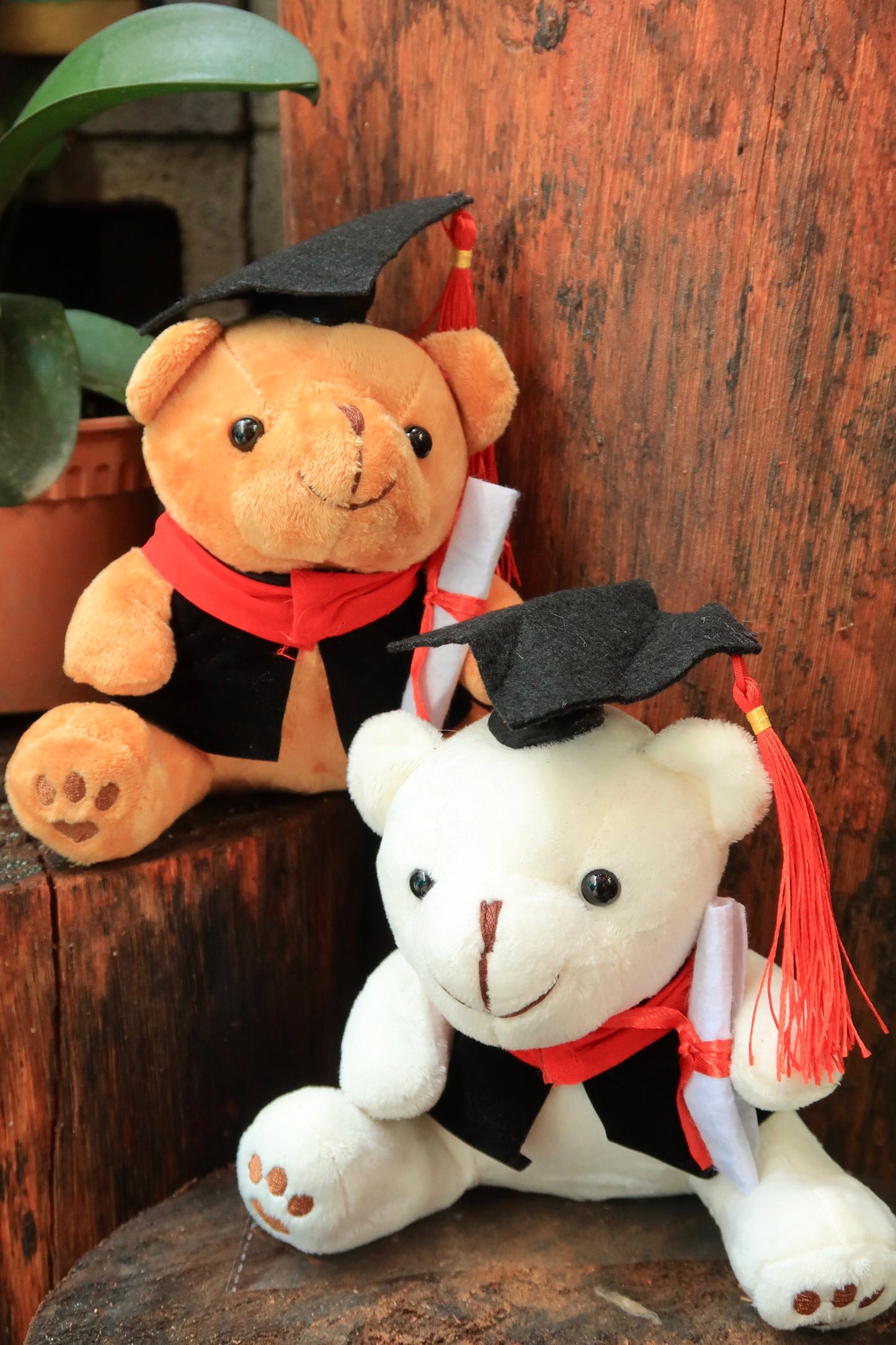 Teddy Bear - Small