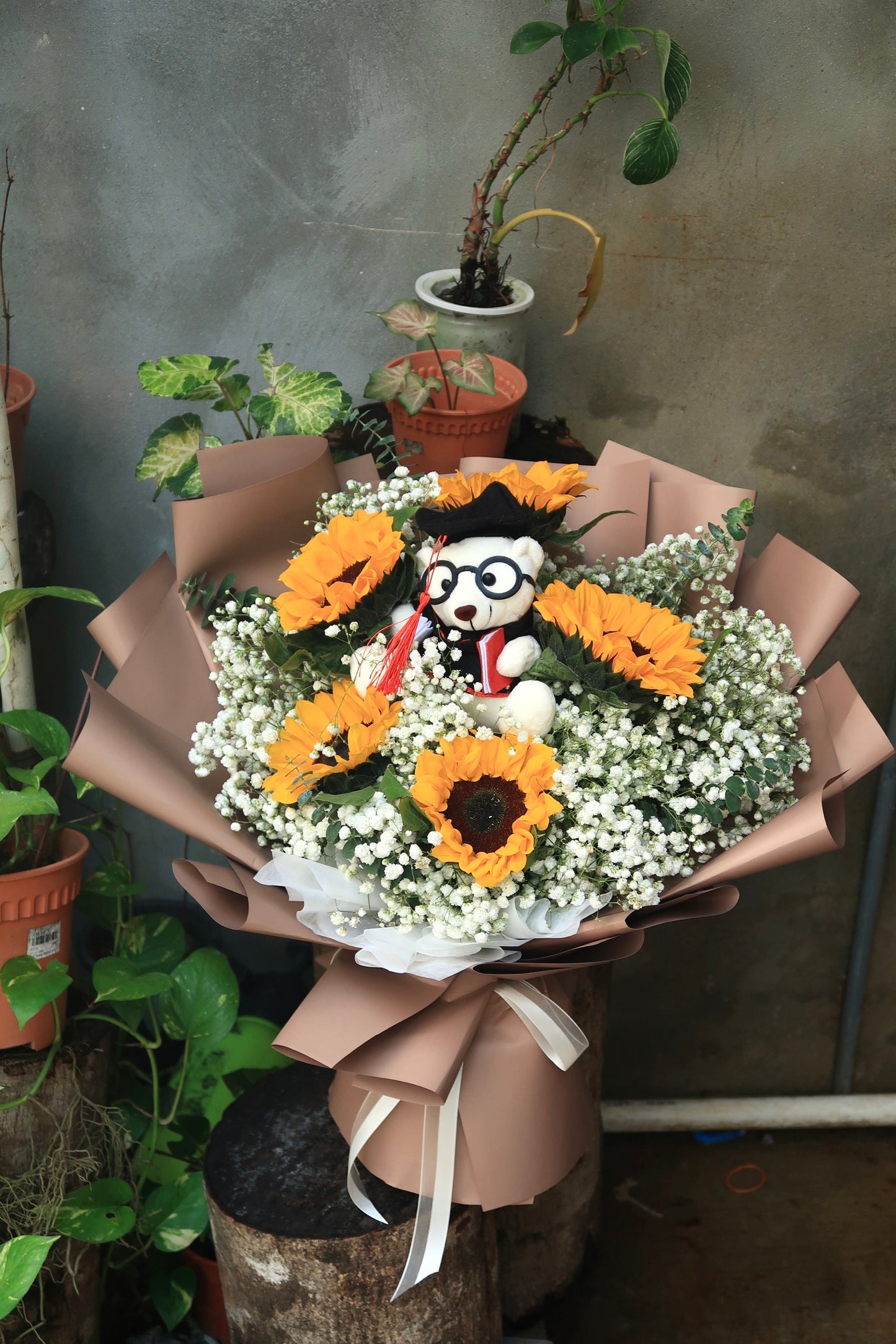 Sunflower with Teddy