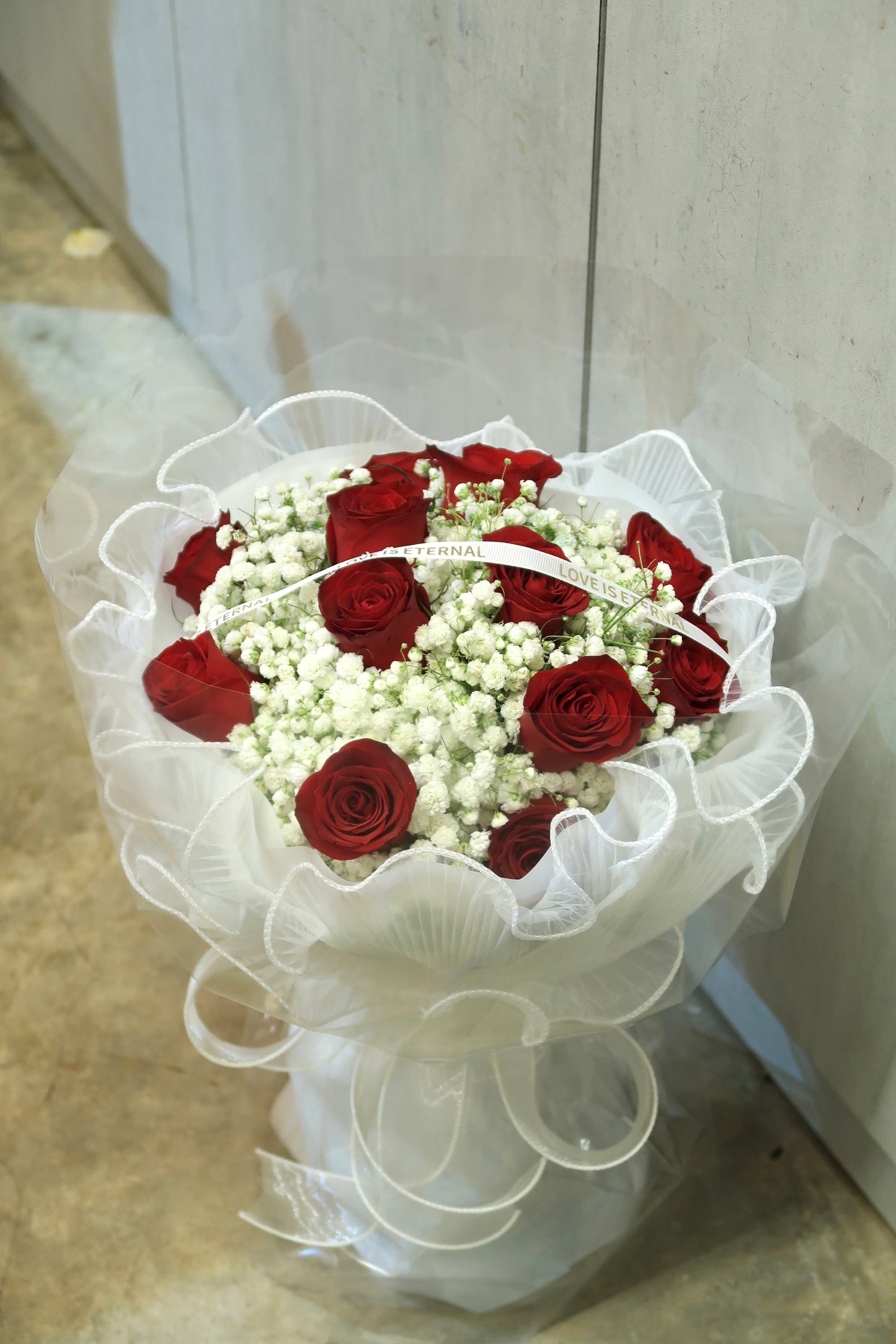 V19 Red in White