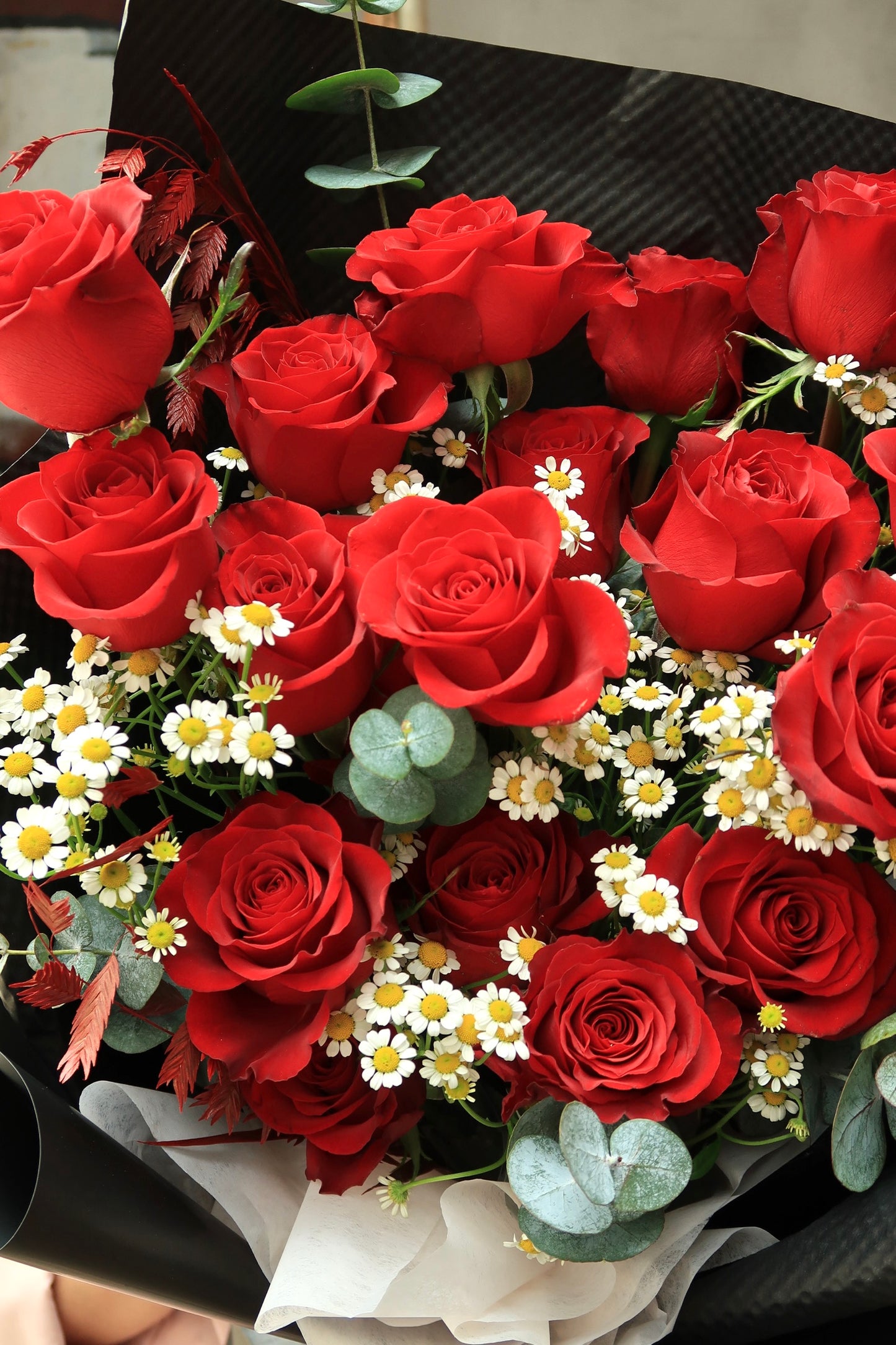 V33 Romance Garden