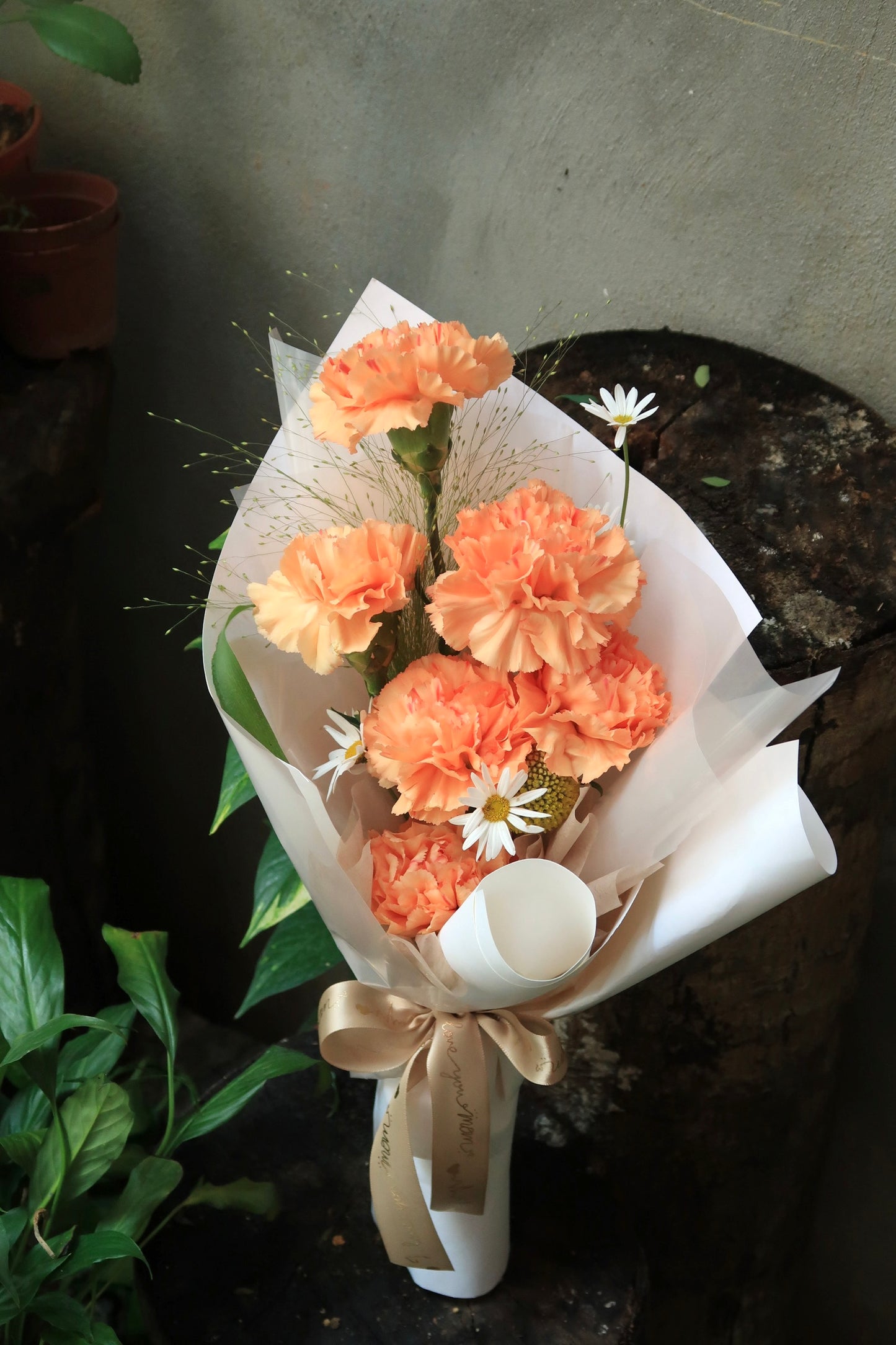 M04 Bloom Kind