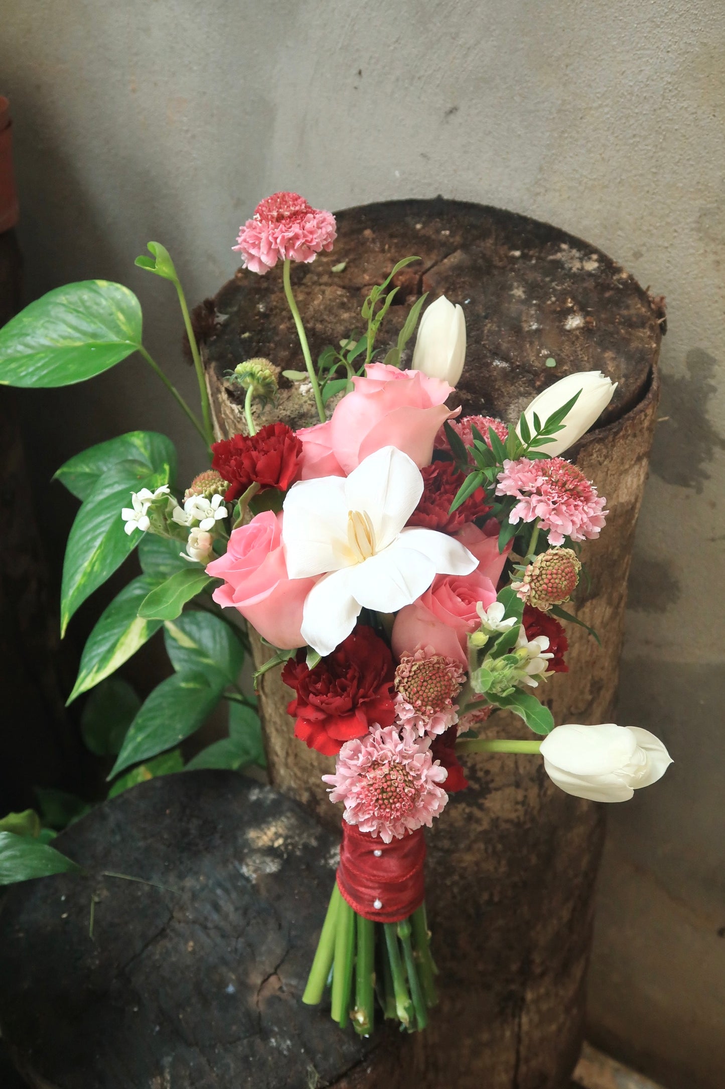 Bloomline