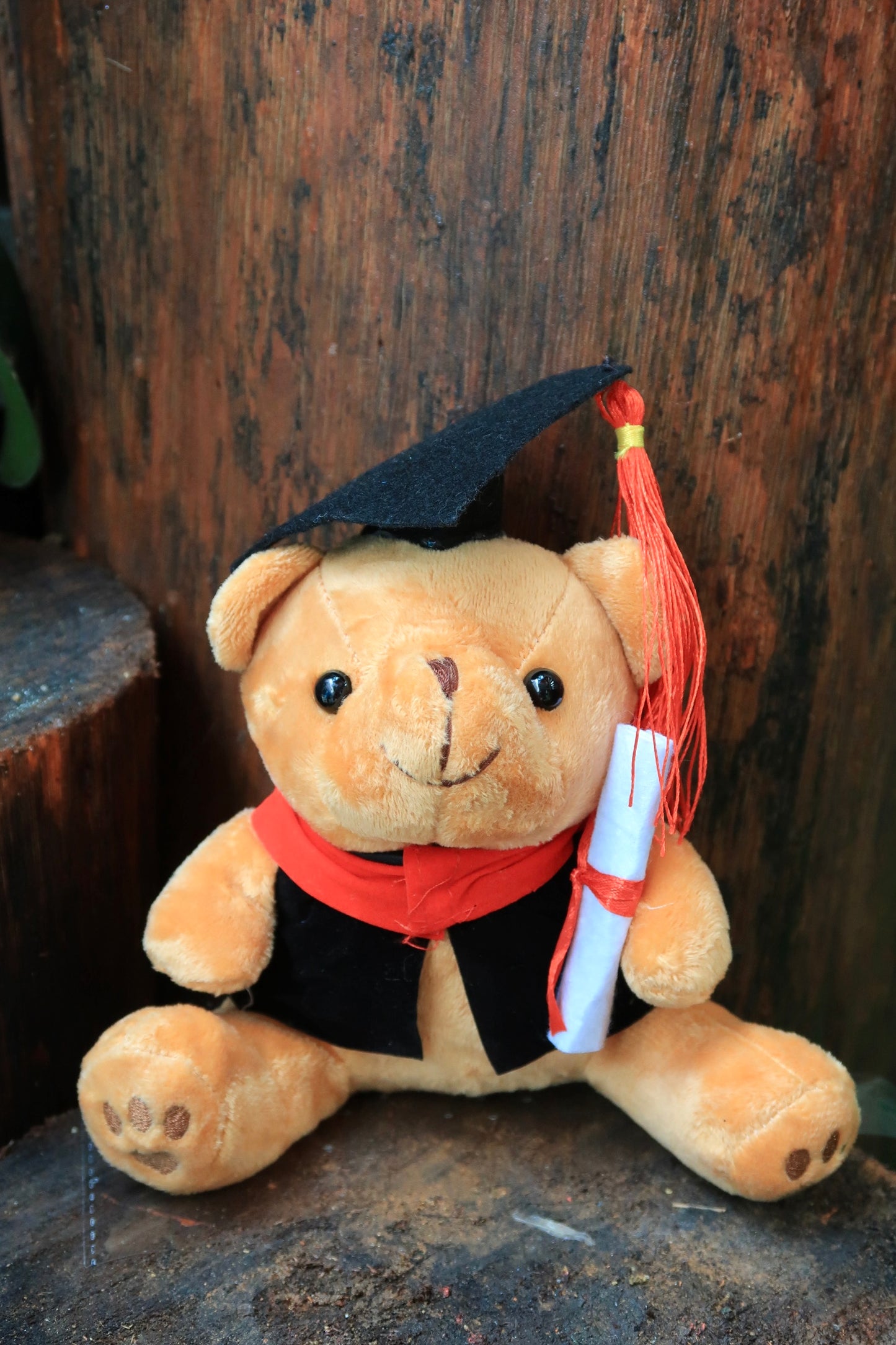 Teddy Bear - Small