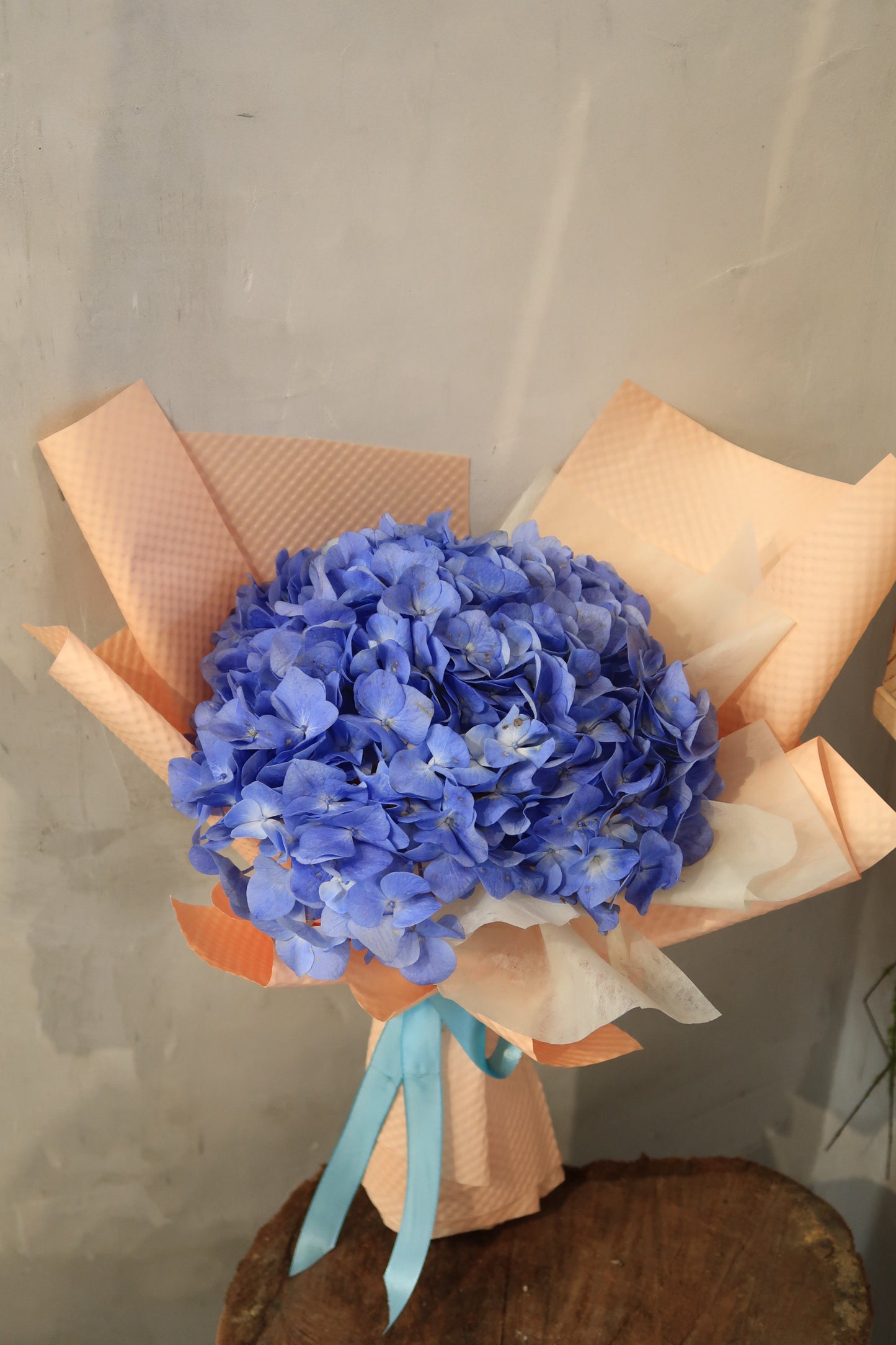 Blue Hydrangea