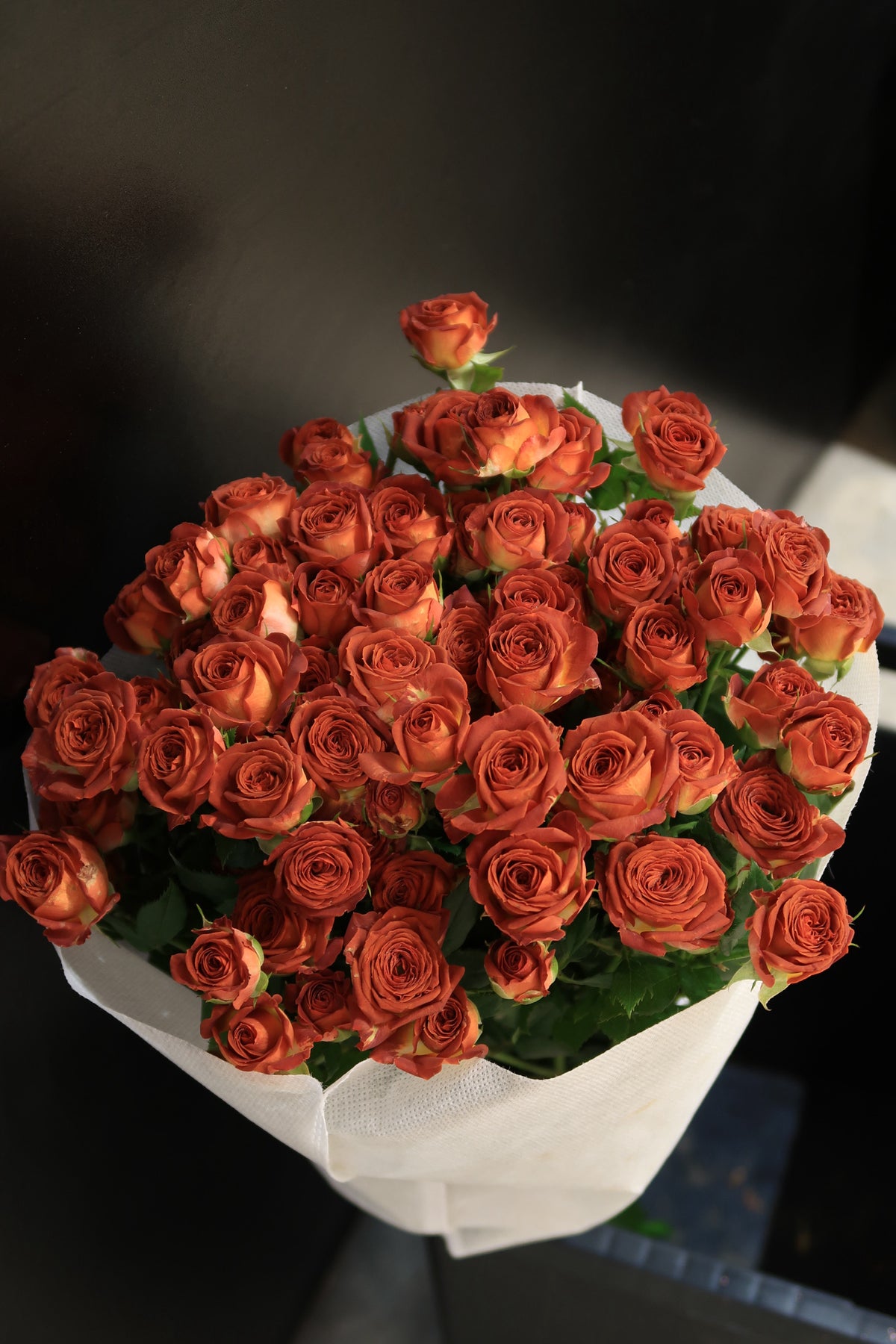 Toffee Spray Roses Spray Rose - Chocolate – Dayang Ros Flower Boutique