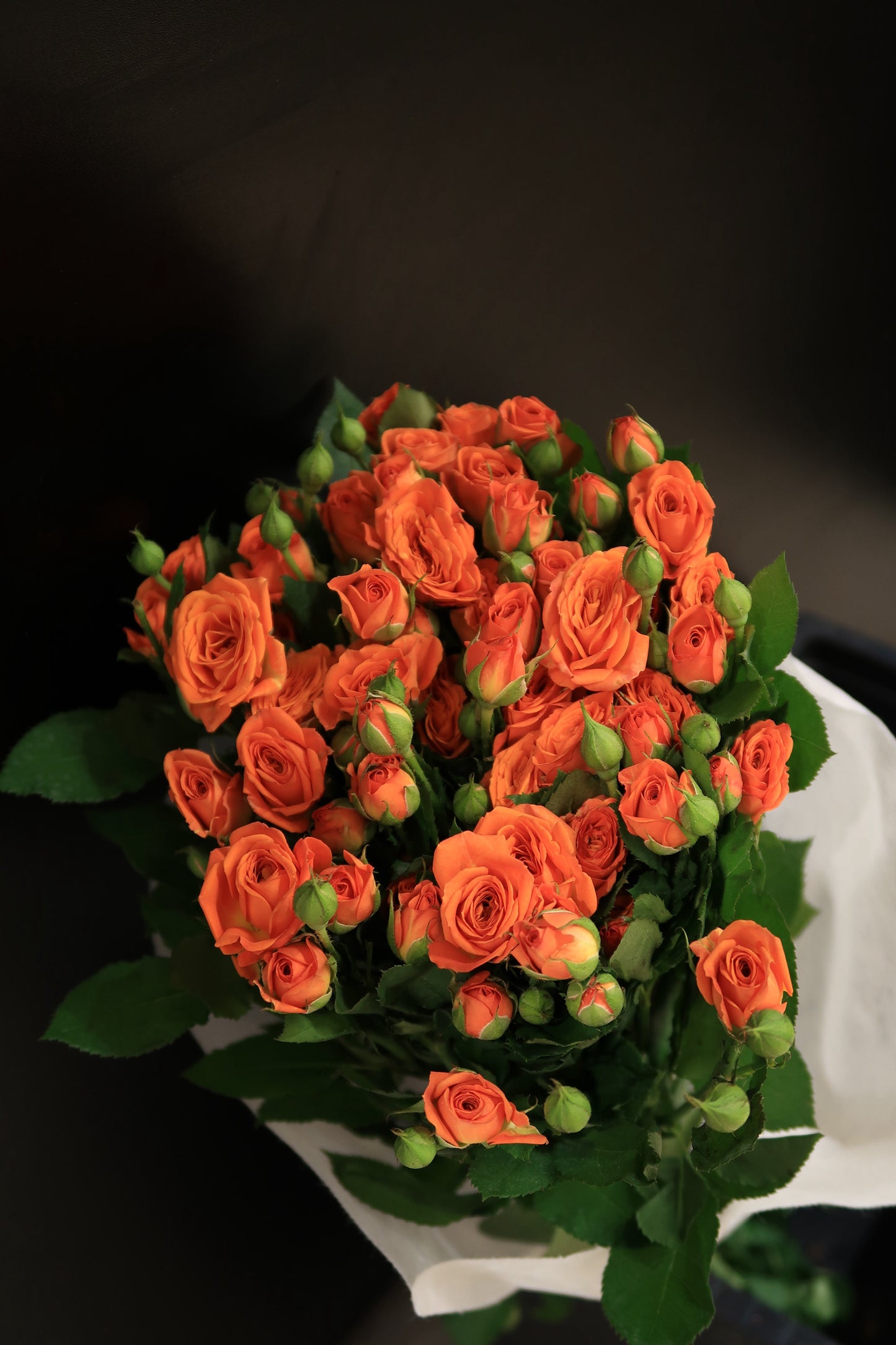 Spray Rose - Orange