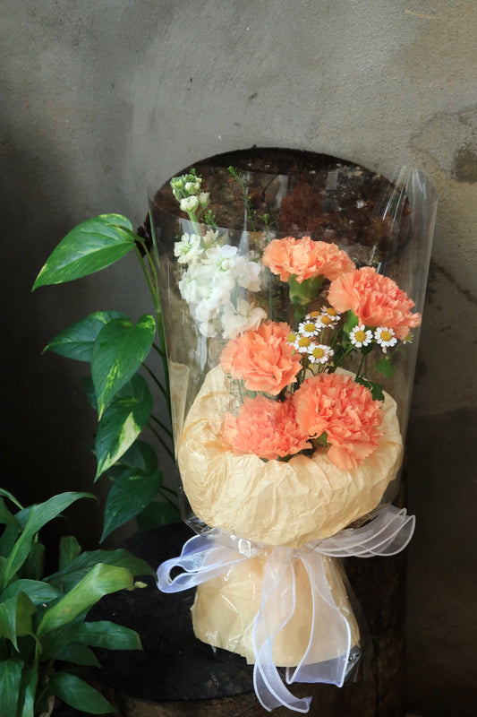 M02 Pure Bloom